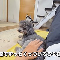 寄り添ってくれるきゅうちゃん
