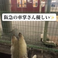 釘付けになっていたら…