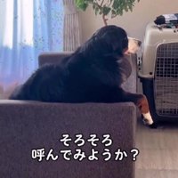 声をかけてみると…