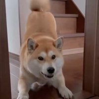 どうしたの