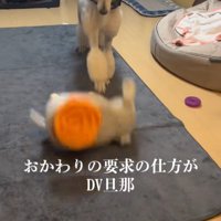 台を蹴飛ばしました！