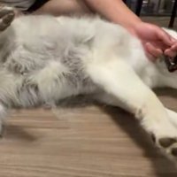 優しく