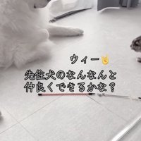 ノーリアクション