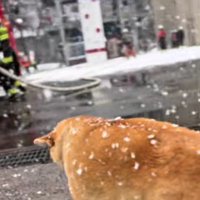 毎日毎日通い続けた