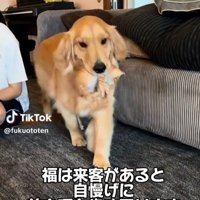 音くんを咥える福ちゃん