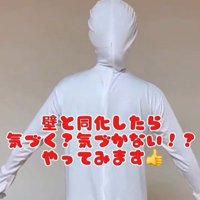 壁と同化したらコロちゃんは気づく？