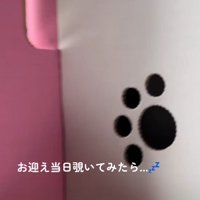 子犬をお迎え