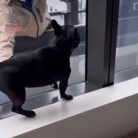ニコニコ笑顔でホッコリ