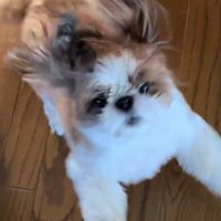 突然テンションMAXに♪