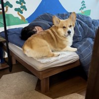「眠くなってきたかも」