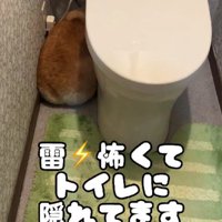 なんとトイレの中！！