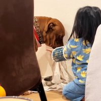 口を拭くわんこ