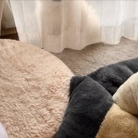 かくれんぼ