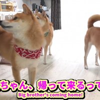 「本当に！？」