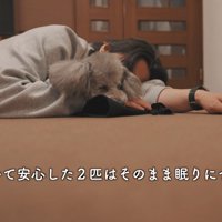 仲良く夢の中へ…
