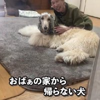 大のおばあちゃんっ子♡