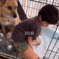 戸惑っているよう…