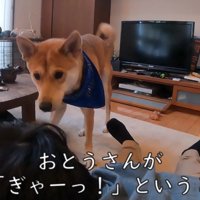悲鳴を上げると…