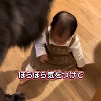 見守ってくれています