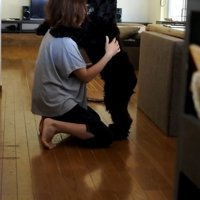 サイレンが鳴った時のルークくん6