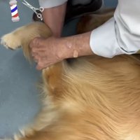 お腹をマッサージ