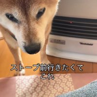 「そこは私の場所だよ」