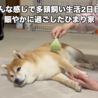 ヤキモチ、可愛すぎます…！