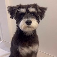 ボセくんの成長記録5