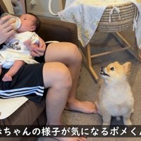 ミルクを飲む姿を見守っています