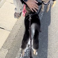 ナデナデを大満喫