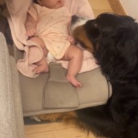 赤ちゃんのそばに寄り添う犬