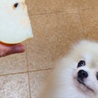 二足歩行