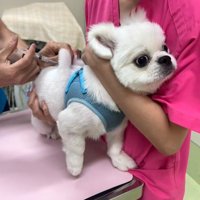 こんぶ君は無反応