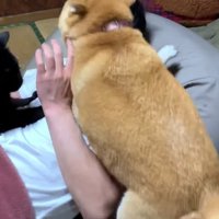 激しすぎる愛情表現