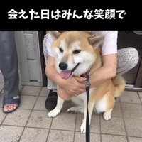 人に抱かれて笑顔を見せる犬