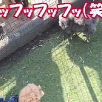 ジワジワ笑いが込み上げる…