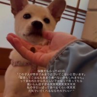 運命の出会いだったのかも♡