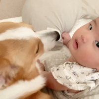 なかなか寝てくれない赤ちゃん