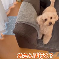 次の日も誘ってみたら…