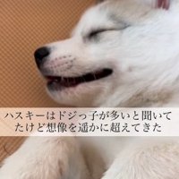 ドジっ子と聞いていたけど…
