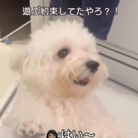 お風呂場に突撃するジジくん3