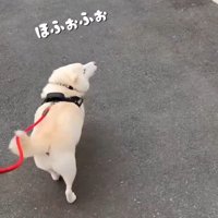「待って！」