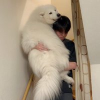 お兄ちゃん