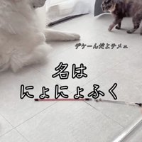 尋常ではないやる気