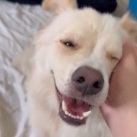 ぼーちゃんの変化6