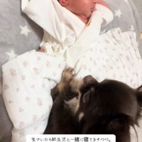 ラキくんが赤ちゃんのそばに…