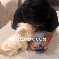 ゲームに夢中な彼氏と見つめる犬