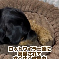 愛情たっぷりで、すくすく成長中