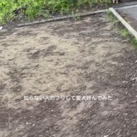 ドッキリに対する福ちゃんの反応