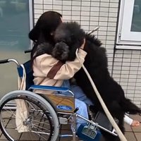 走って投稿主さんにハグ